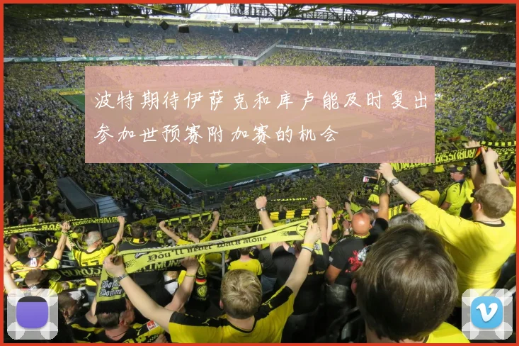 波特期待伊萨克和库卢能及时复出参加世预赛附加赛的机会